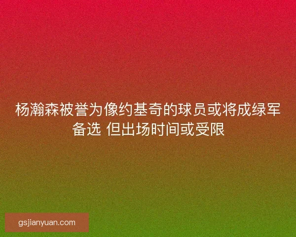 杨瀚森被誉为像约基奇的球员或将成绿军备选 但出场时间或受限