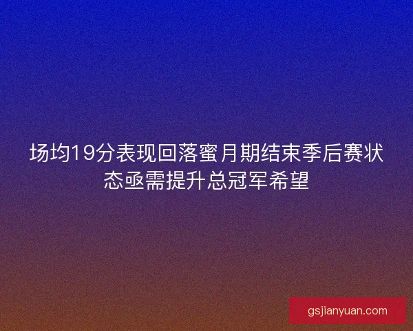 场均19分表现回落蜜月期结束季后赛状态亟需提升总冠军希望